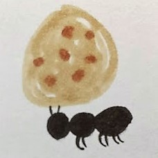 filosofía de la hormiga